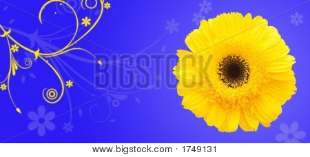 Fondo de flores