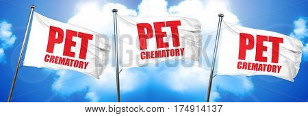 pet crematory, 3D rendering, triple flags