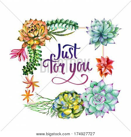 Wildflower succulentus flower frame in a watercolor style isolated. Full name of the plant: succulentus. Aquarelle wild flower for background, texture, wrapper pattern, frame or border.