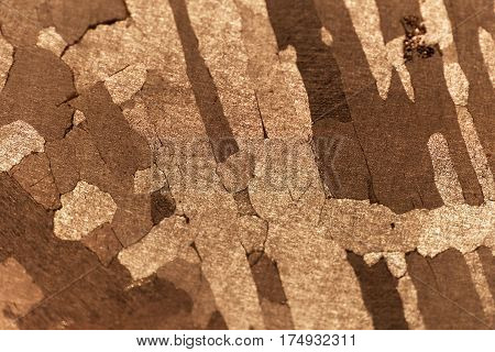 Macro photo of an iron meteorite with Widmanstaetten patterns.
