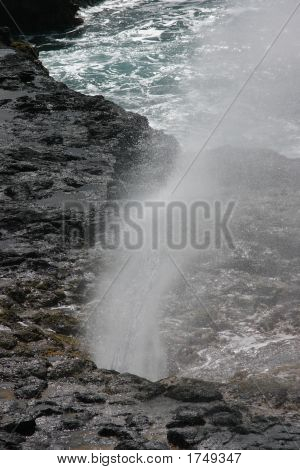 Spouting ฮอร์น