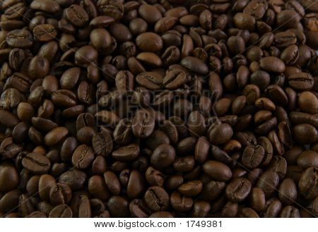 ธัญพืชกาแฟ