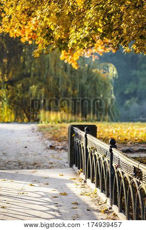Autumn in park Aleksandriya. nature. fall. foliage.