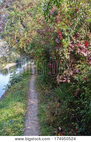 Park of Grugnotorto (Lombardy Italy) between Milan and Brianza in autumn. Path for bicycle and pedestrian along the Villoresi canal
