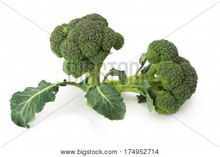 fresh ripe cabbage isolated on white background.