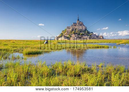 Le Mont Saint-michel In Summer, Normandy, France