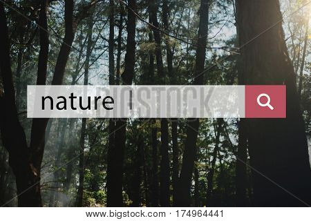 Nature Ecology Environmental Conservation Earth