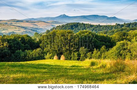 Stacks Of Hay On The Hill Side