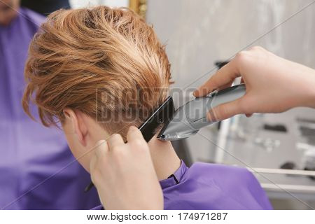 Hairdresser working with client at salon