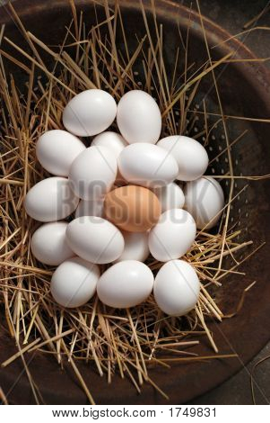 Bweggs