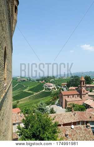 Serralunga d'Alba, Italy 15 July 2012: View from fort of Serralunga d'Alba to the vineyards in Piedmont, Italy