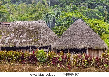 Indigenous Houses At Amazonia Ecuador