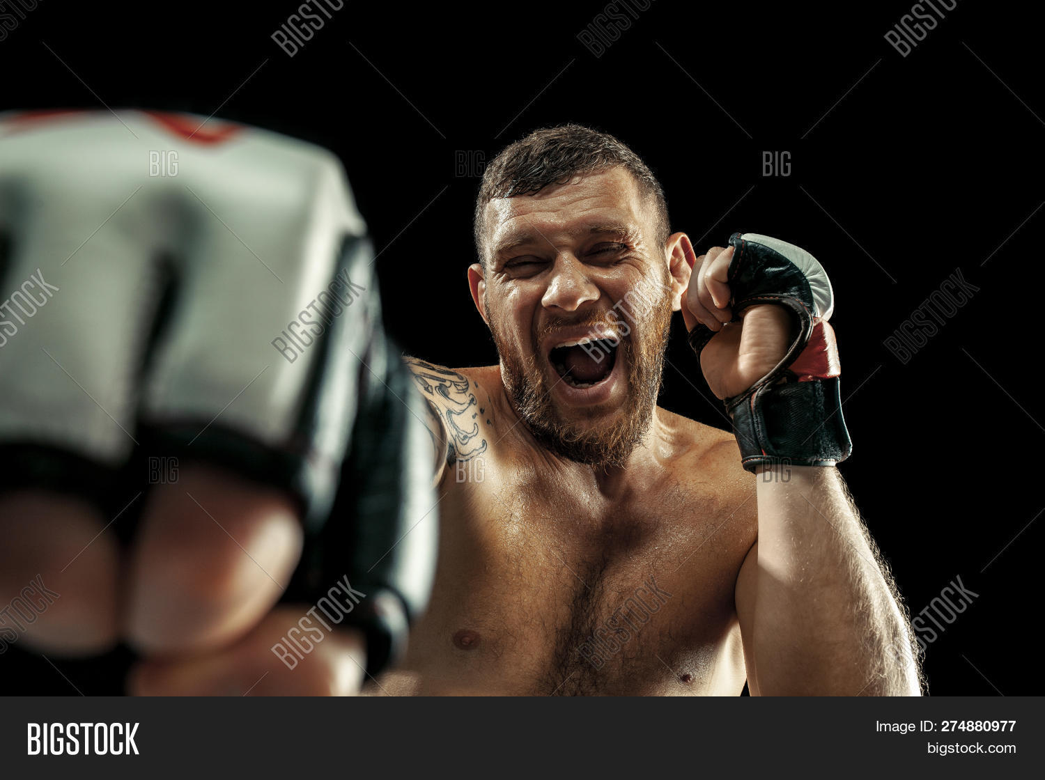 Mma. Professional Image & Photo (Free Trial) Bigstock