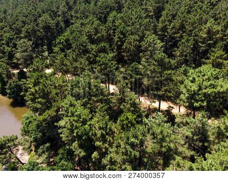 Aerial Drone View Of Aydos Forest Lake In Istanbul. Natural Life.