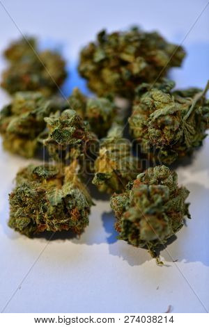 comatose is an indica strain of cannabis