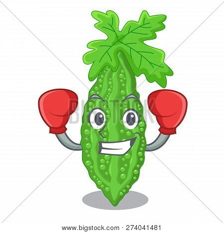 Boxing Bitter Melon Isolated On A Mascot