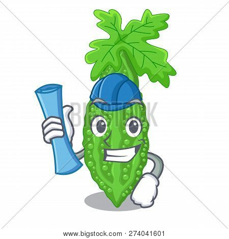 Architect Bitter Melon Gourd On Shape Cartoon