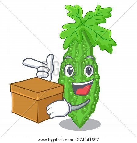 With Box Bitter Melon Gourd On Shape Cartoon