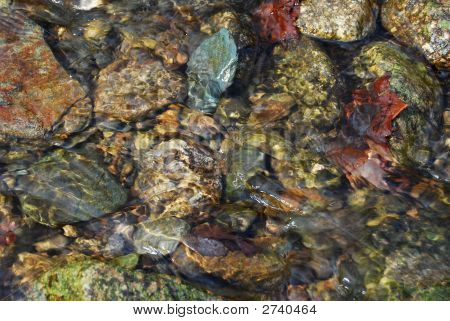 Stream