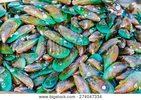 Mussels At The Market,perna Viridis,green Shell Background.