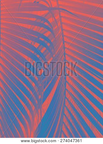 Coral Color Background . Coral Color Backdrop For Your Design. Trendy Color Concept Of The Year 2019