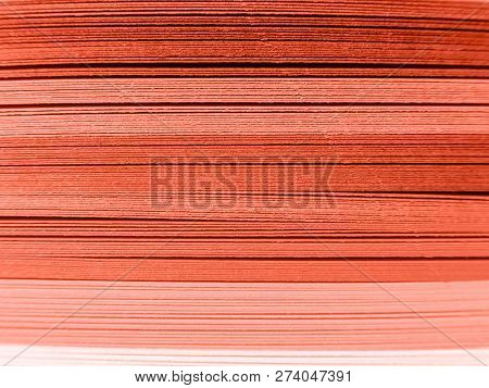 Coral Color Background . Coral Color Backdrop For Your Design. Trendy Color Concept Of The Year 2019
