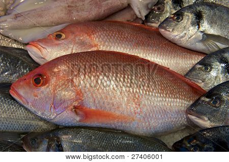 fisk på markedspladsen
