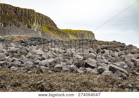 Seaweed At The Coastline Of North West Skye By Kilmuir - Scotland, United Kingdom