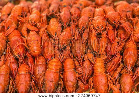Fresh Red Boiled Crawfish. Cooked Crayfish With Dill. Beer Snack. Crayfish To Beer.