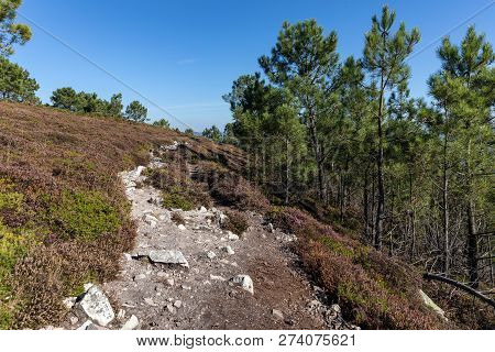 Coastal Trail Towards La Pointe De Saint-hernot On The Crozon Peninsula (finistere, France)