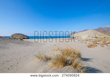 White Goats Grazing Near Monsul Beach In Cabo De Gata Almeria