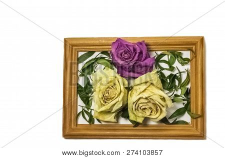 Three Dry Roses With Leaves, Two White Roses, One Pink Rose, Inside A Wooden Frame On A White Backgr