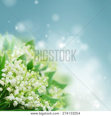 Bunch Of Lilly Of Valley Flowers Blue Bokeh Background