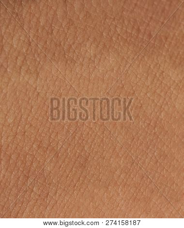 Dark Skin Pattern With Cells And Lines Texture. Close Up Of Dark Skin Surface