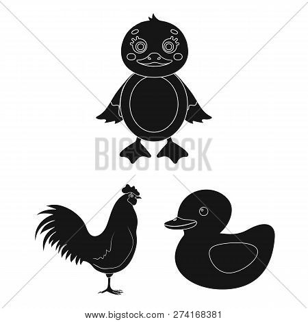 Vector Design Of Funny And Poultry Icon. Set Of Funny And Farming Stock Symbol For Web.