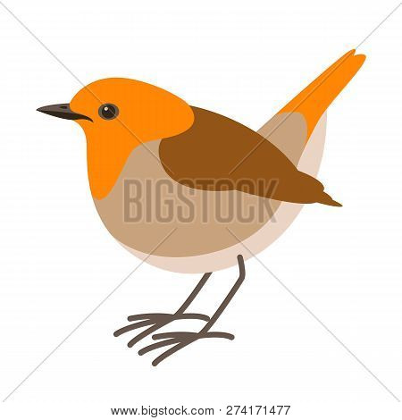 Robin Bird ,vector Illustration , Flat Style ,profile View