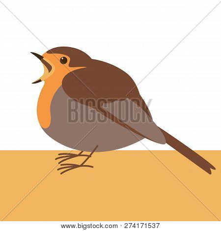 Robin Bird ,vector Illustration , Flat Style ,profile View
