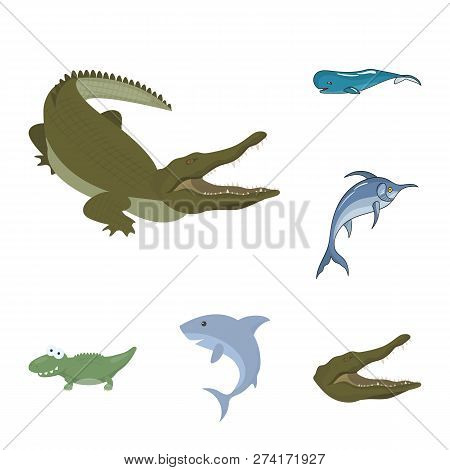 Isolated Object Of Water And Drop Icon. Collection Of Water And Splash Stock Symbol For Web.