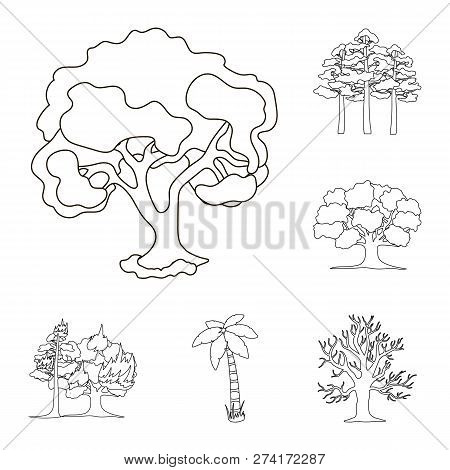 Vector Illustration Of Tree  And Forest Icon. Set Of Tree  And Green Vector Icon For Stock.
