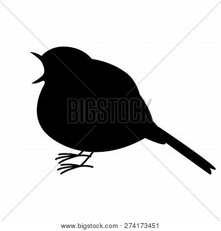 Robin Bird ,vector Illustration ,  Black Silhouette ,profile View