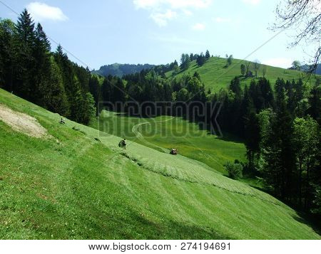 Pastures And Hills Of The Zürchersmühle Village - Canton Of Appenzell Ausserrhoden, Switzerland