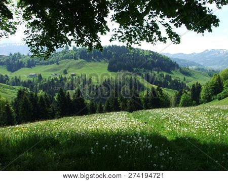 Pastures And Hills Of The Zürchersmühle Village - Canton Of Appenzell Ausserrhoden, Switzerland