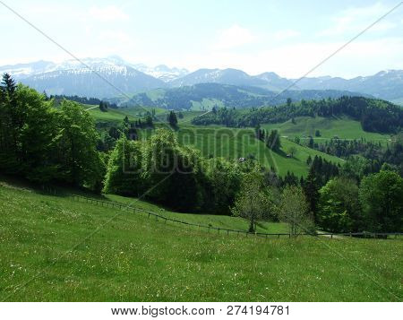 Pastures And Hills Of The Zürchersmühle Village - Canton Of Appenzell Ausserrhoden, Switzerland