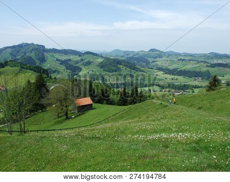 Farms And Pastures Of The Zürchersmühle Village - Canton Of Appenzell Ausserrhoden, Switzerland
