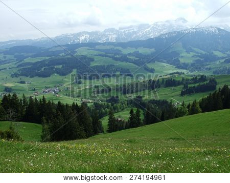Pastures And Hills Of The Zürchersmühle Village - Canton Of Appenzell Ausserrhoden, Switzerland