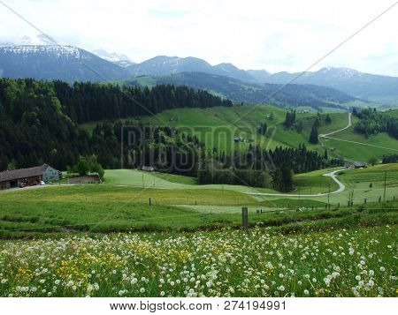 Pastures And Hills Of The Zürchersmühle Village - Canton Of Appenzell Ausserrhoden, Switzerland