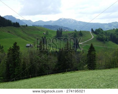 Pastures And Hills Of The Zürchersmühle Village - Canton Of Appenzell Ausserrhoden, Switzerland