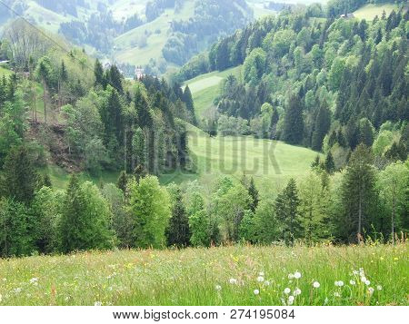 Pastures And Hills Of The Zürchersmühle Village - Canton Of Appenzell Ausserrhoden, Switzerland