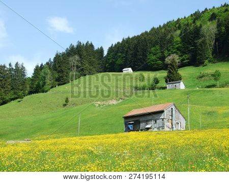 Farms And Pastures Of The Zürchersmühle Village - Canton Of Appenzell Ausserrhoden, Switzerland