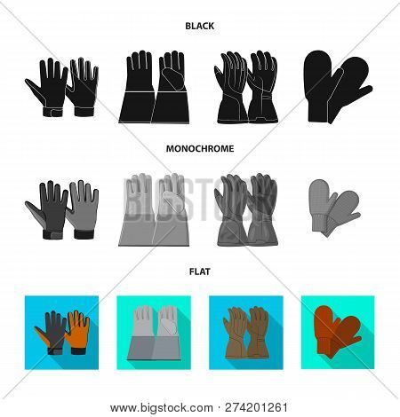 Vector Illustration Of Glove And Winter Logo. Collection Of Glove And Equipment Stock Vector Illustr